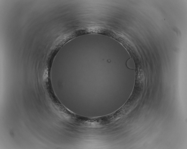 X0000113180502200909041346