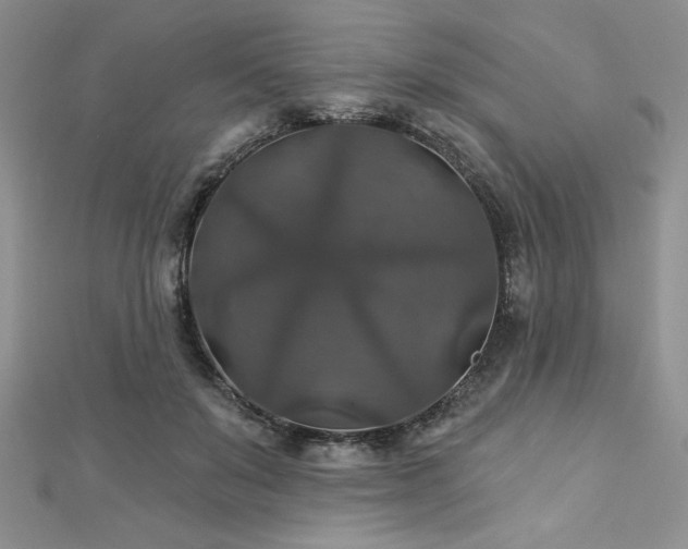 X0000113180503200909041346