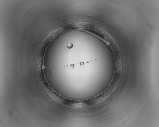X0000113180505200909041346