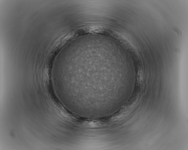 X0000113180506200909041346