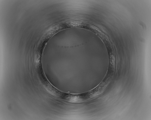 X0000113180507200909041346