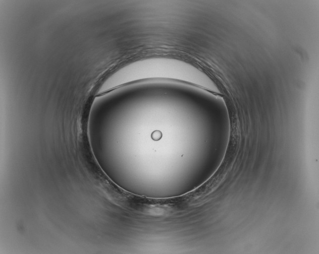 X0000113180508200909041346