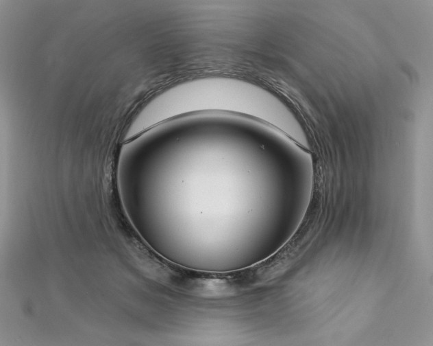 X0000113180509200909041346