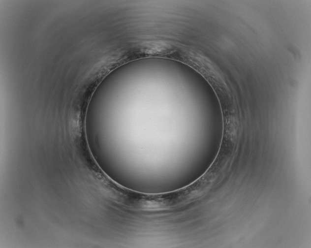 X0000113180510200909041346