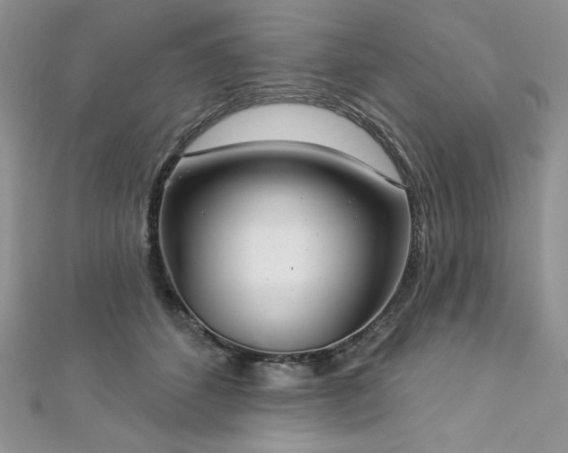 X0000113180512200909041346