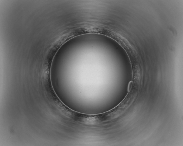 X0000113180513200909041346