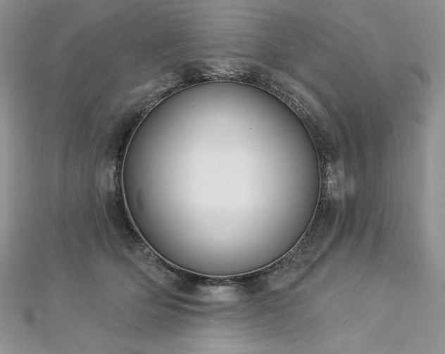 X0000113180514200909041346