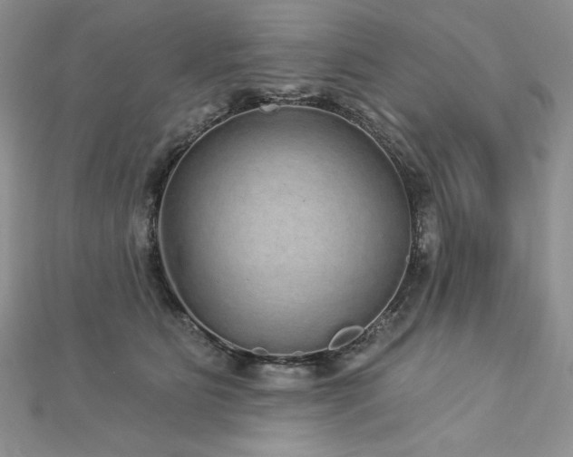 X0000113180515200909041346