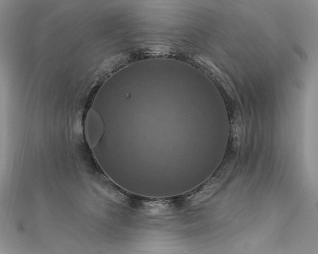 X0000113180516200909041346