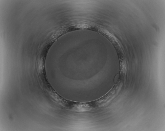X0000113180517200909041346