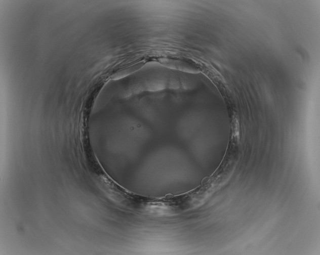 X0000113180519200909041346