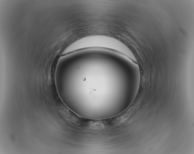 X0000113180520200909041346