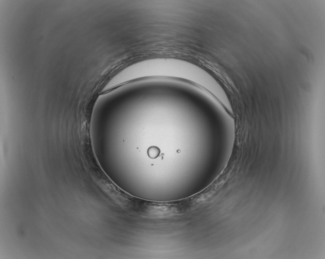 X0000113180521200909041346