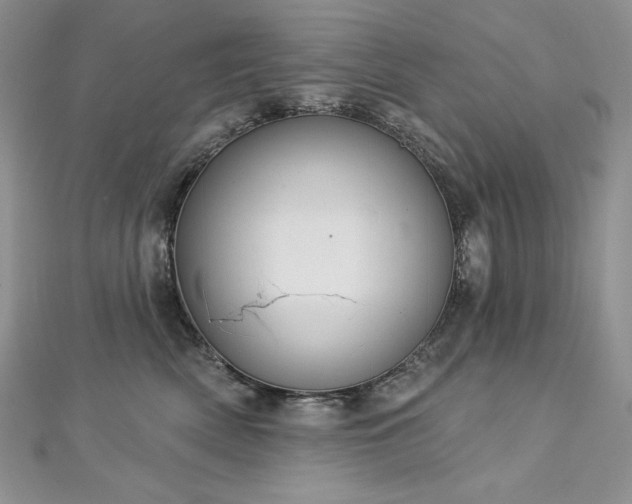 X0000113180522200909041346