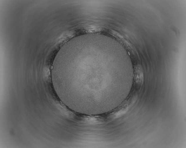 X0000113180523200909041346