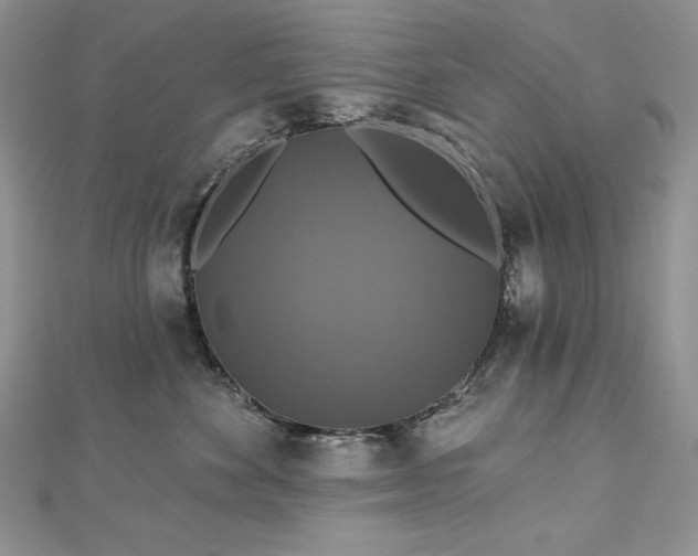 X0000113180524200909041346