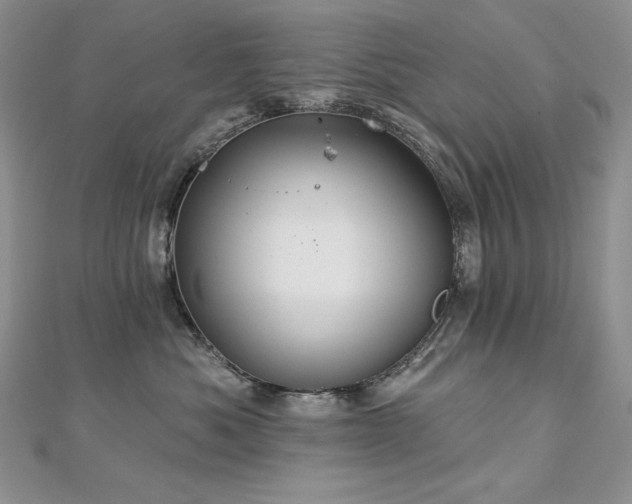X0000113180525200909041346