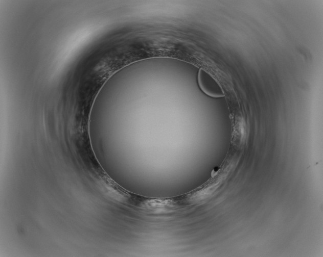 X0000113180526200909041345