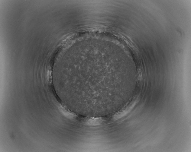 X0000113180527200909041345