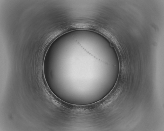 X0000113180529200909041345