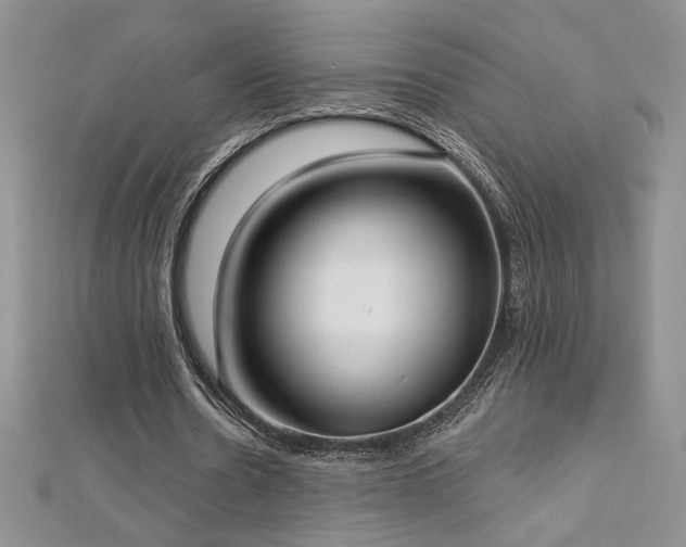 X0000113180530200909041345