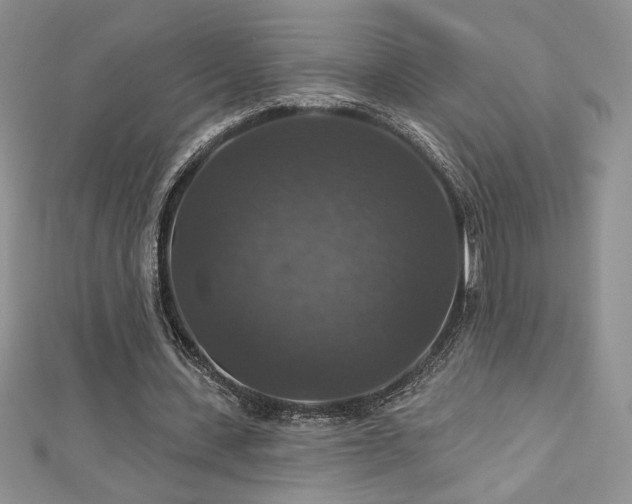 X0000113180531200909041345