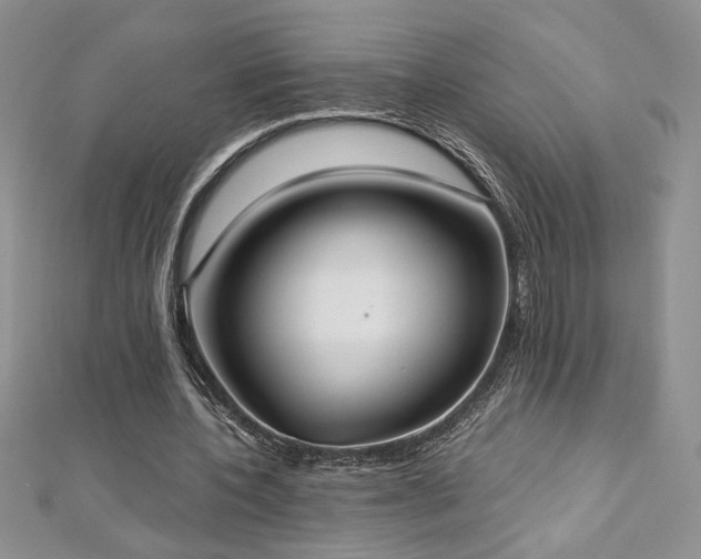 X0000113180532200909041345