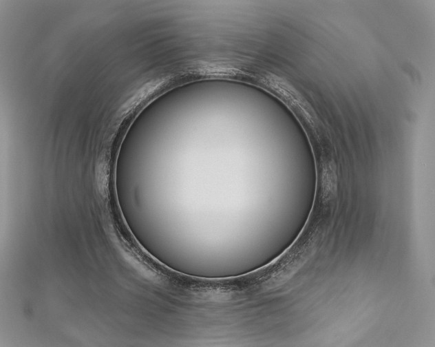 X0000113180533200909041345