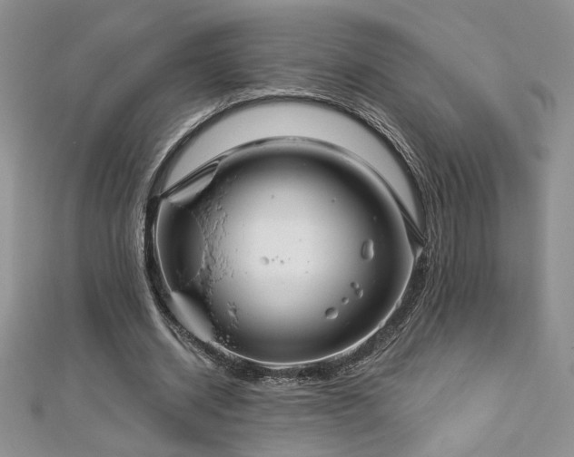 X0000113180534200909041345