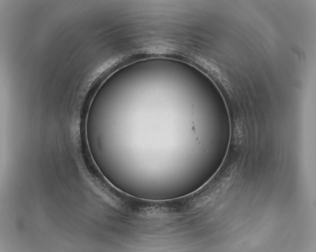 X0000113180535200909041345