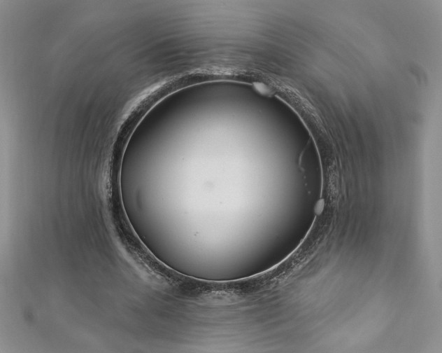X0000113180536200909041345