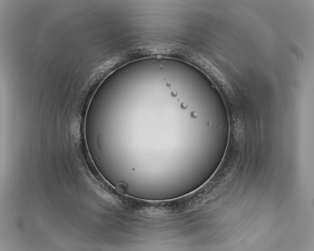 X0000113180537200909041345