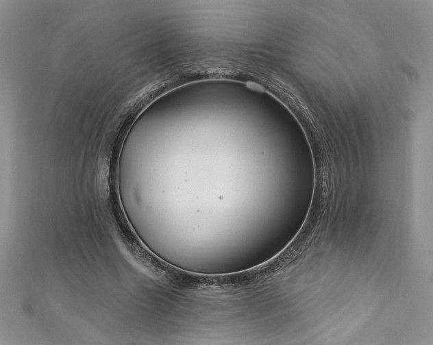 X0000113180538200909041345