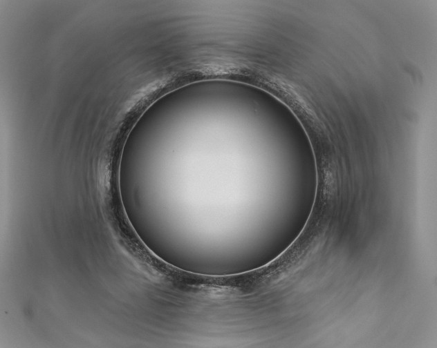 X0000113180539200909041345