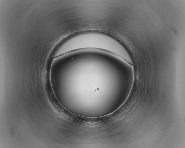 X0000113180540200909041345