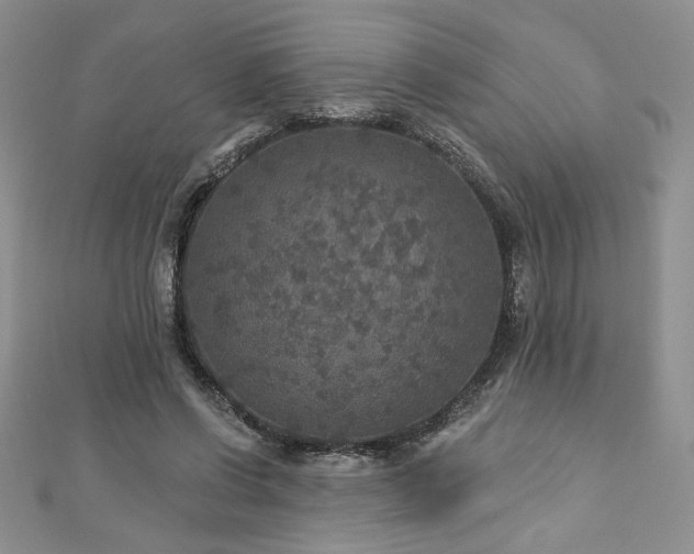 X0000113180542200909041345