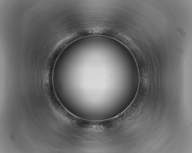 X0000113180543200909041345
