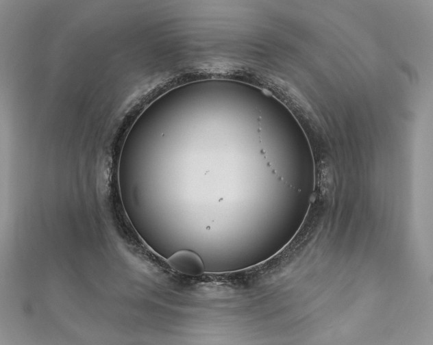 X0000113180544200909041345