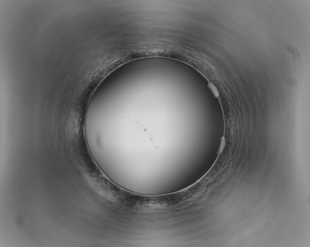 X0000113180546200909041345