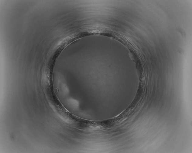 X0000113180547200909041345