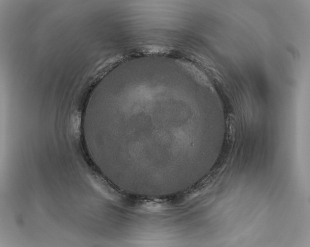 X0000113180550200909041345