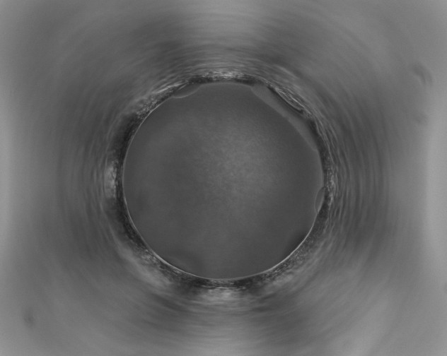 X0000113180551200909041345