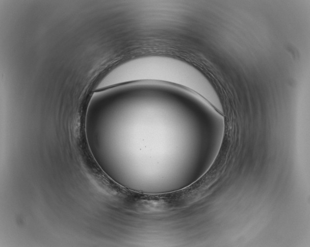 X0000113180552200909041345