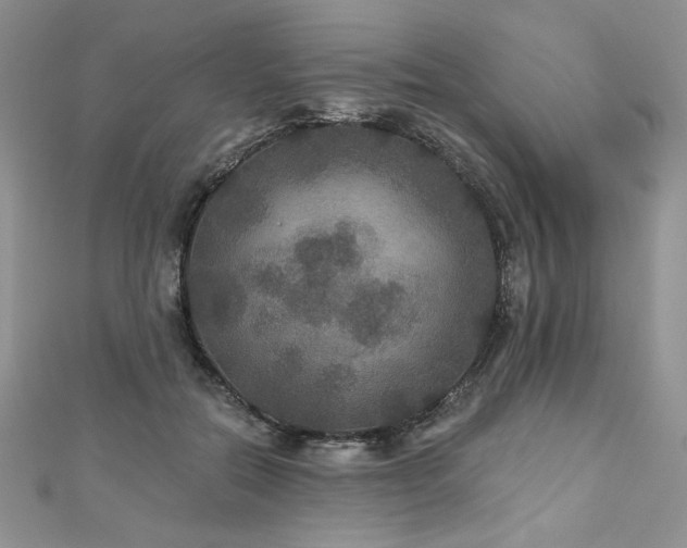 X0000113180554200909041345