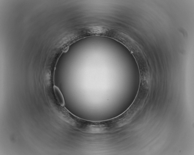 X0000113180556200909041345