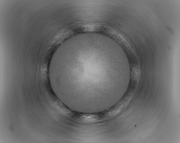 X0000113180557200909041345