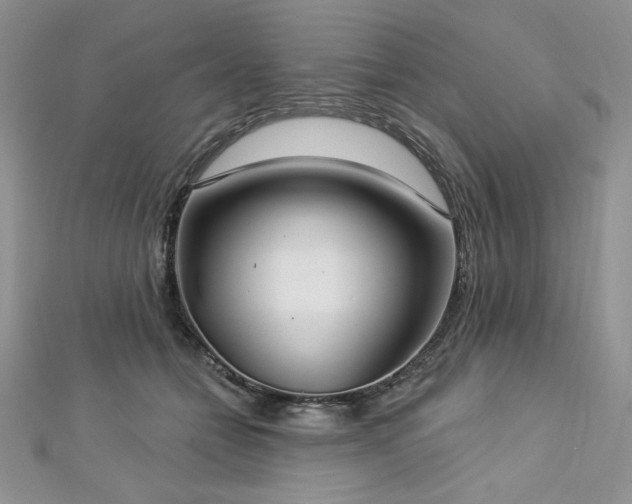 X0000113180558200909041345