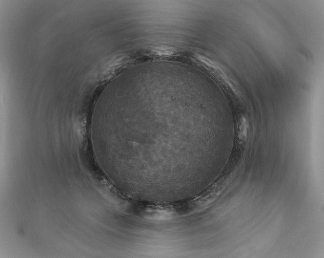 X0000113180559200909041345