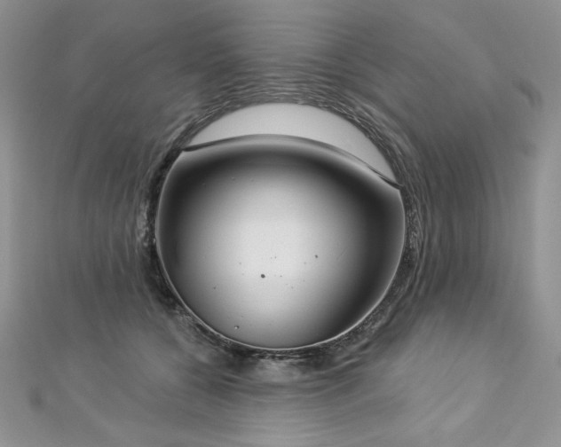 X0000113180560200909041345