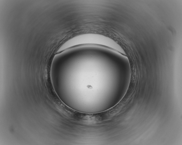 X0000113180562200909041345